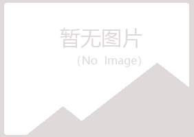 碌曲县字迹化学有限公司